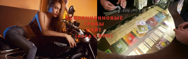 прущая мука Баксан